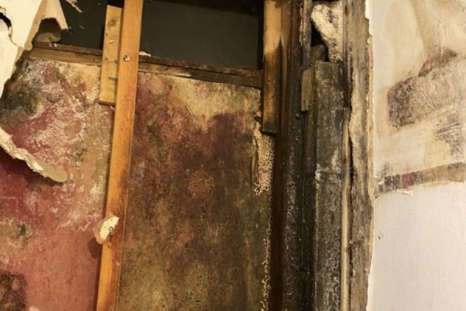 Mold Before (1)