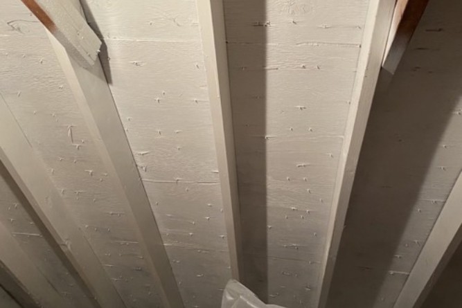 Mold After 2 (1)