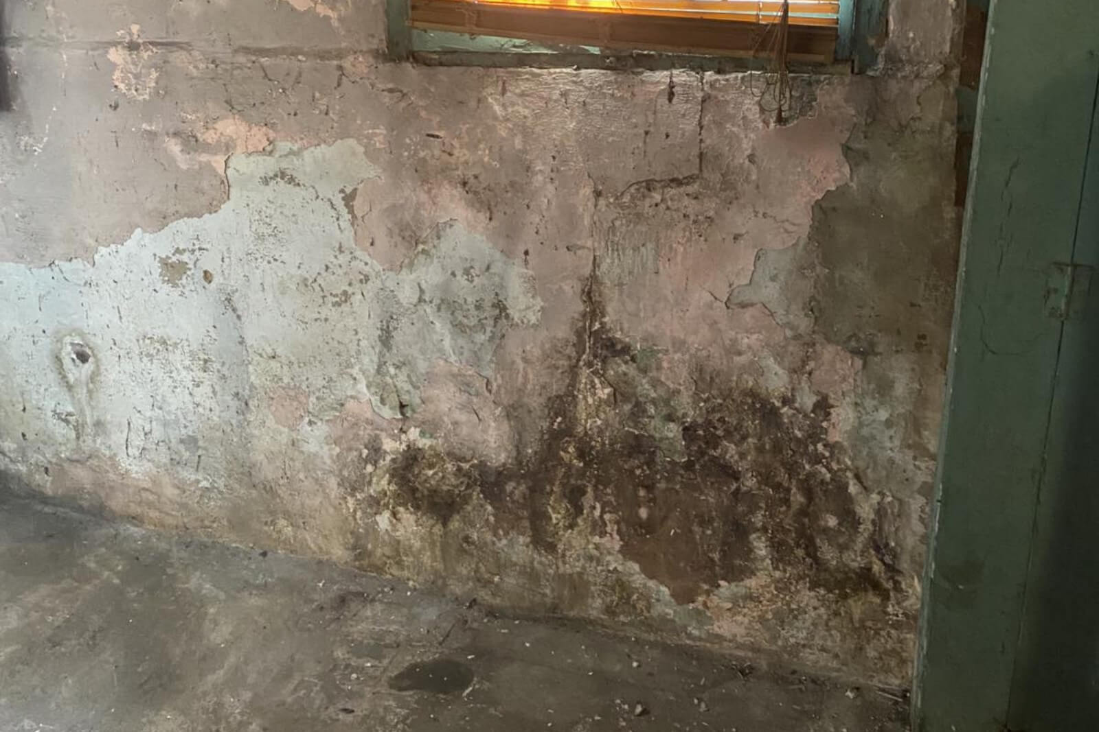 Mold Remediation Services In Wayne