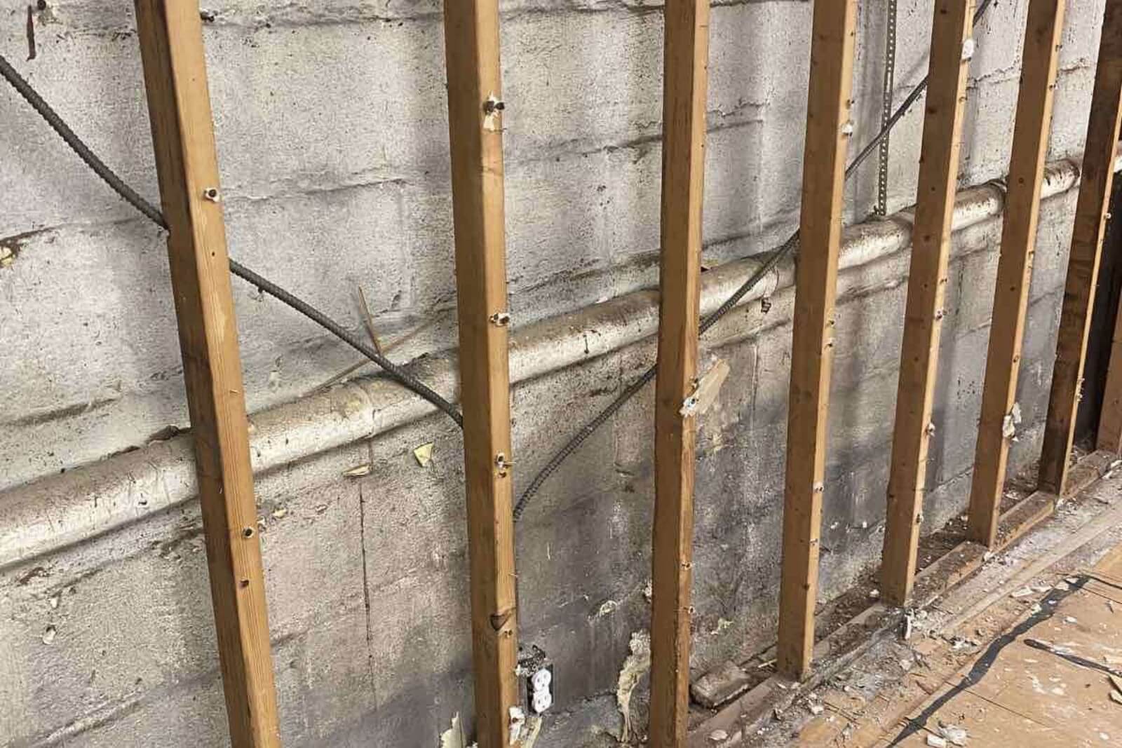 Mold Remediation Services In Cliffside Park