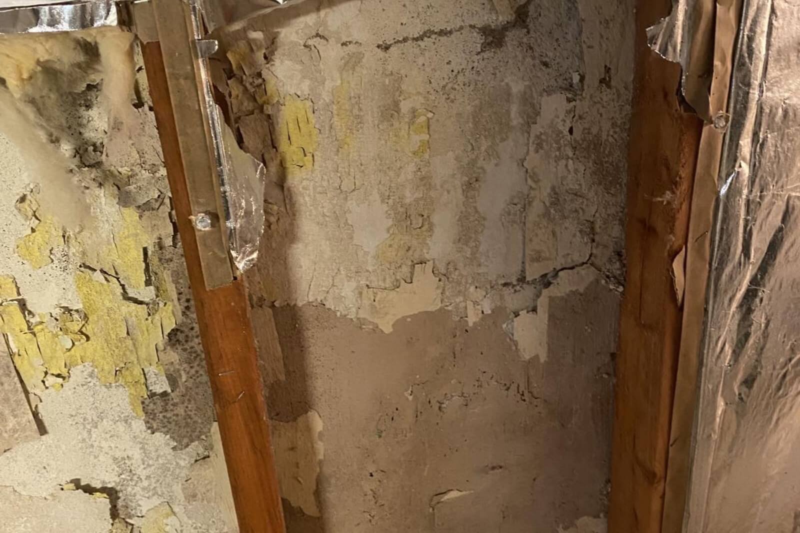 Mold Remediation Services In Upper Saddle River