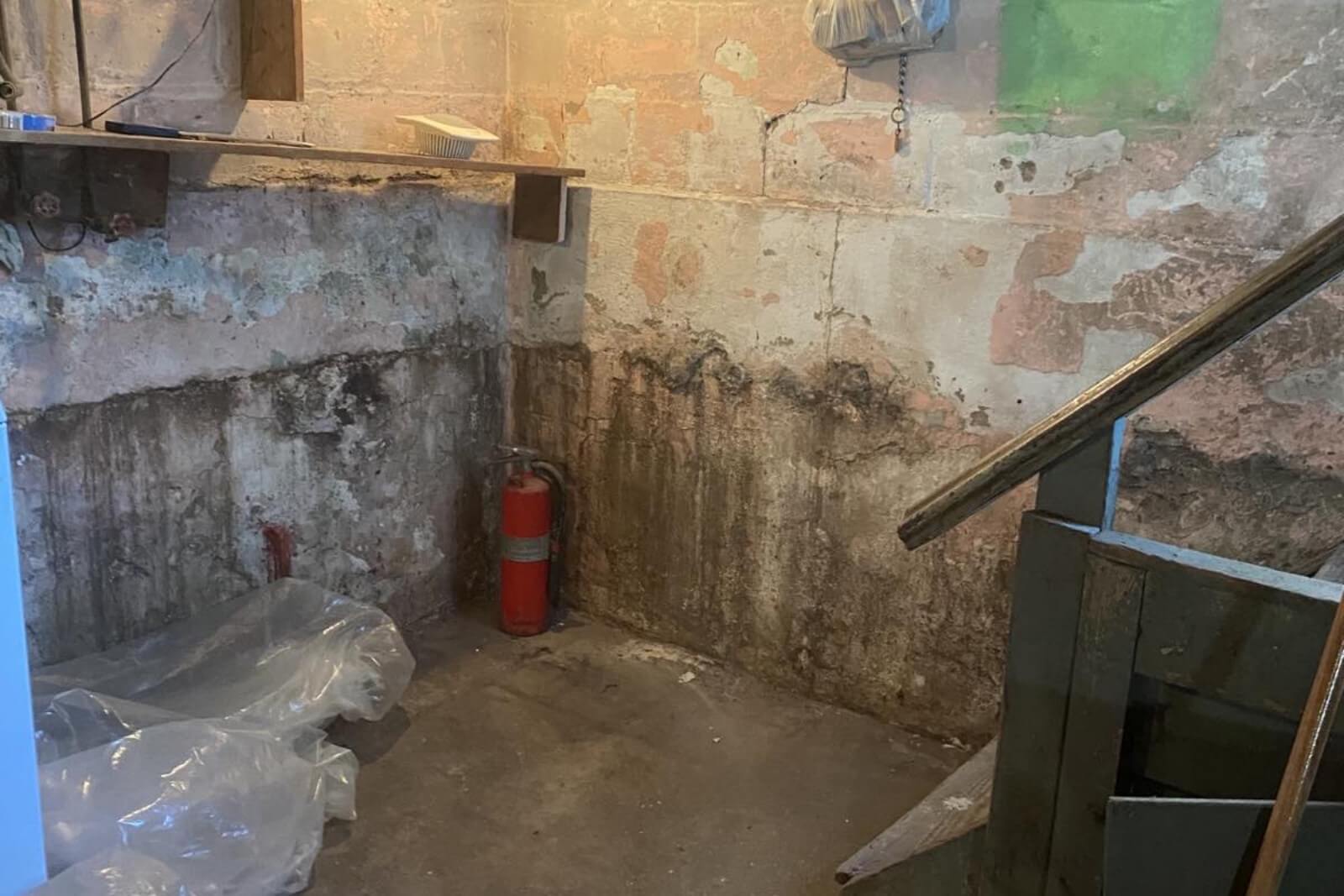 Mold Remediation Services In Rockleigh