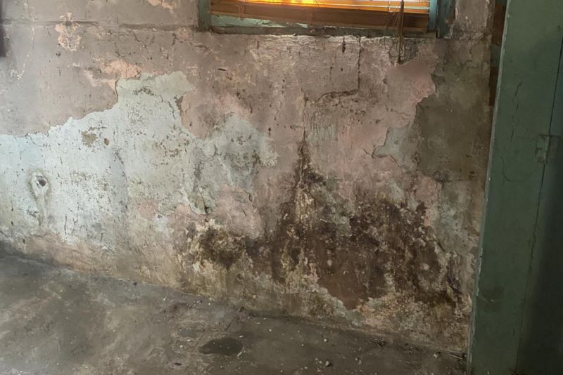 Mold Remediation Services In Waynee
