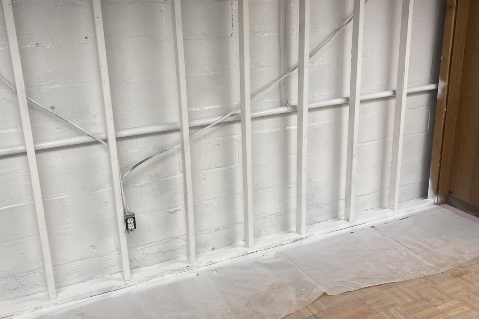 Mold Remediation Services In Ridgewood