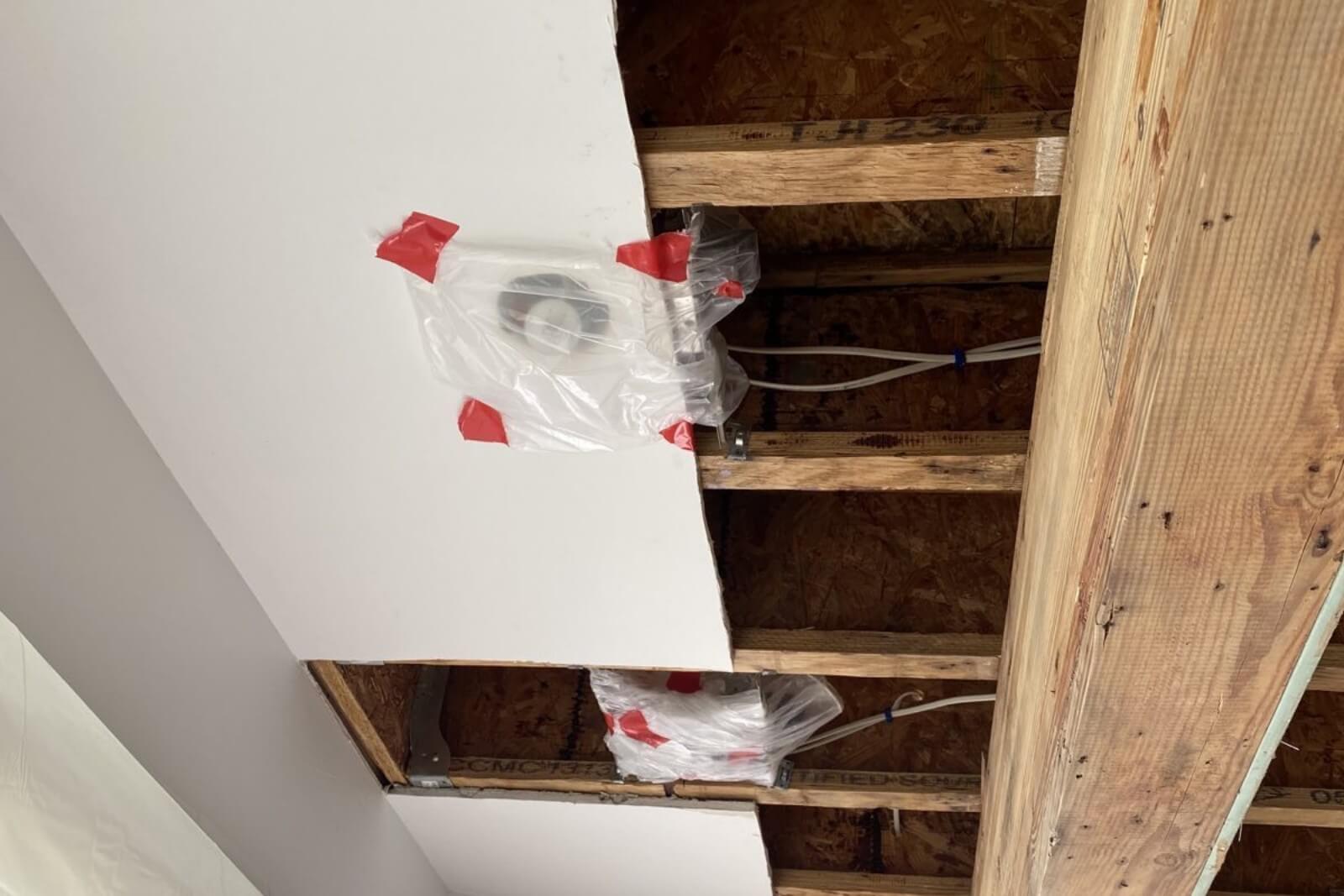 Mold Remediation Services In Plainfield