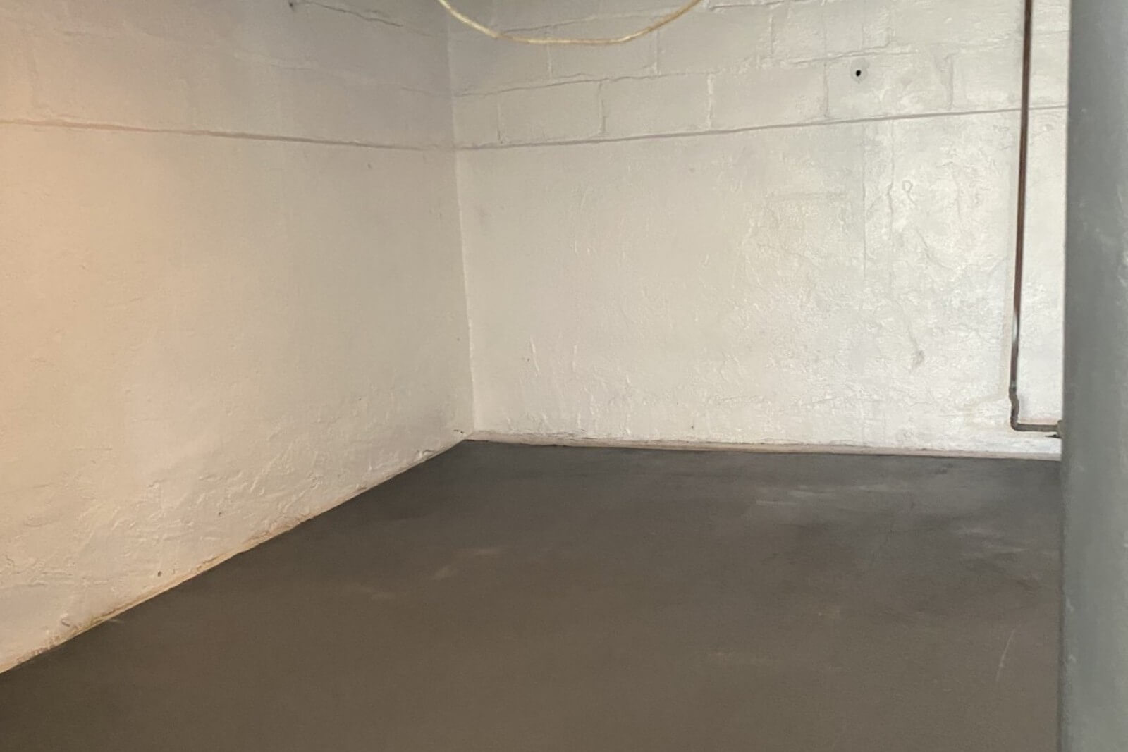 Mold Remediation Services In Dover