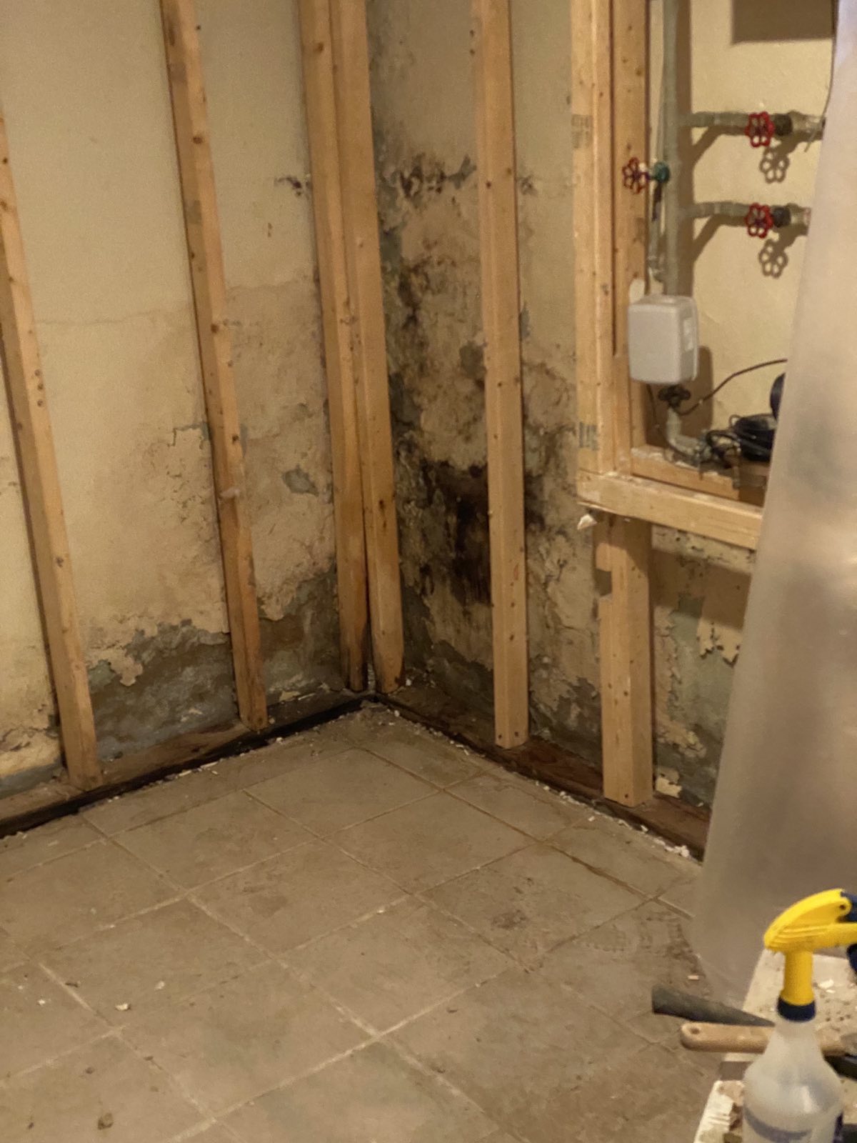 Mold New Jersey
