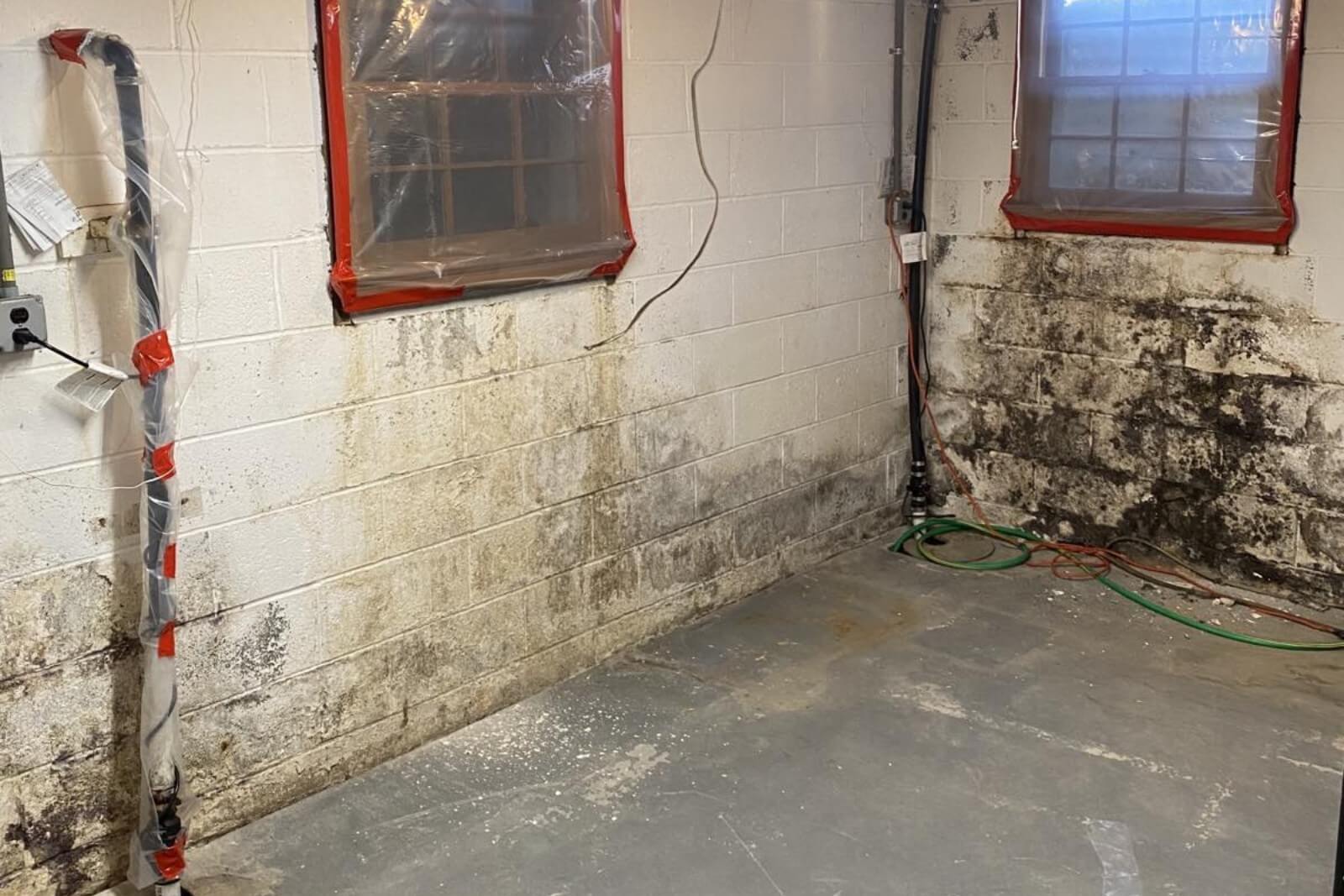 Mold Remediation Services In Florham Park