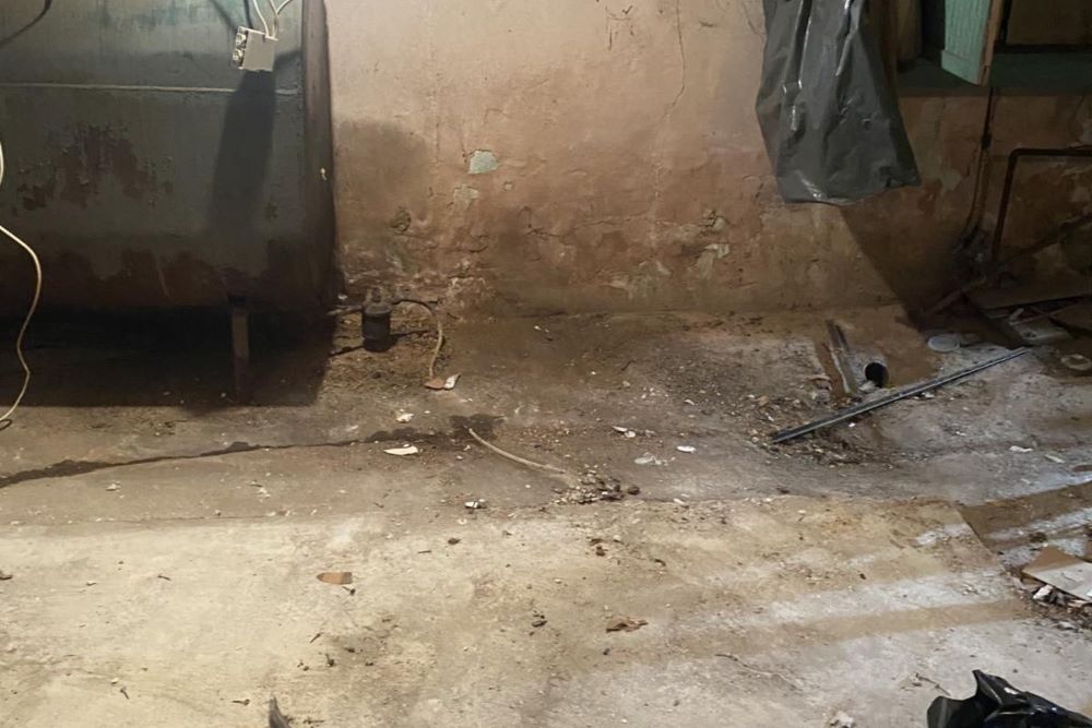 Mold Remediation In Saddle River