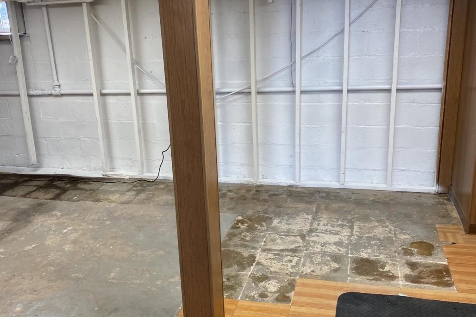 Mold Remediation Service In Haworth