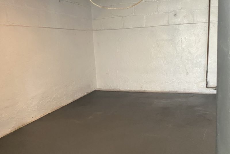 Mold Remediation Services In Wayne11