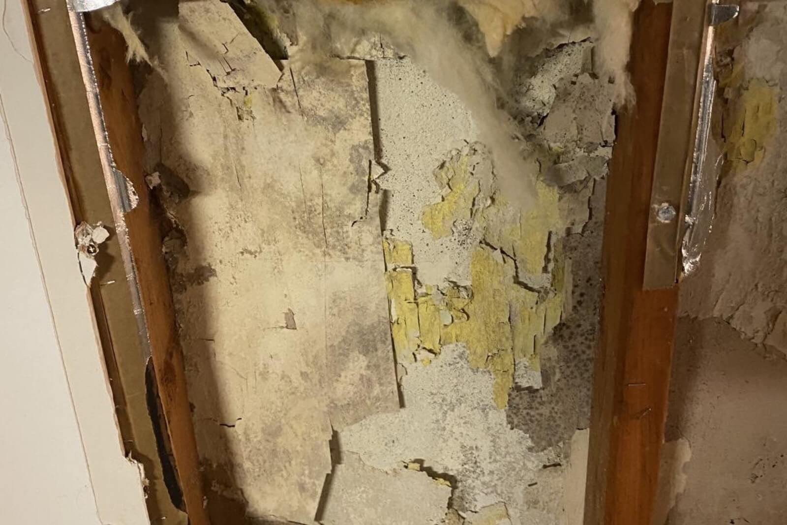 Mold Remediation Service In Bogota